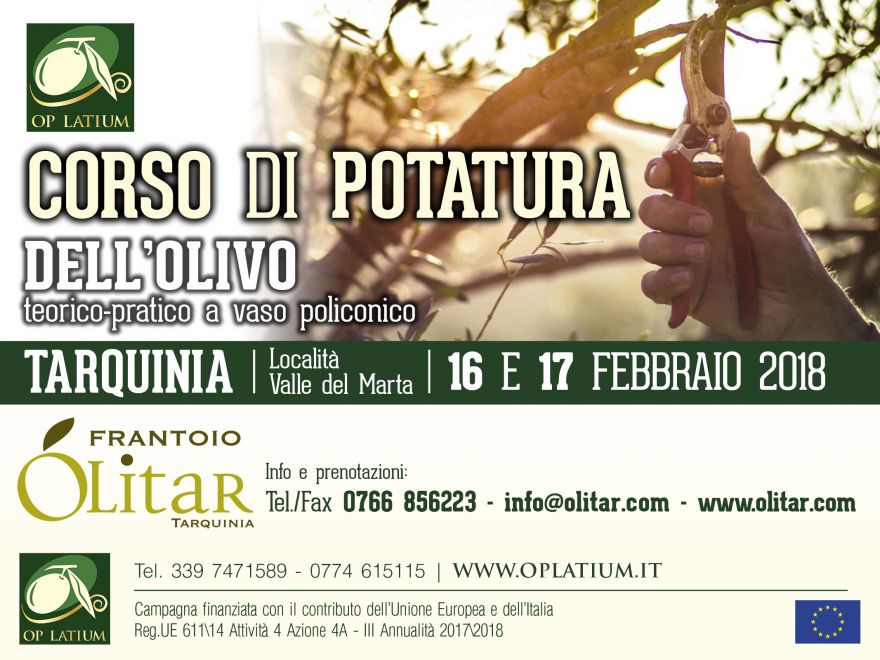 Andrea De Luca Blues and Gospel Night Solo