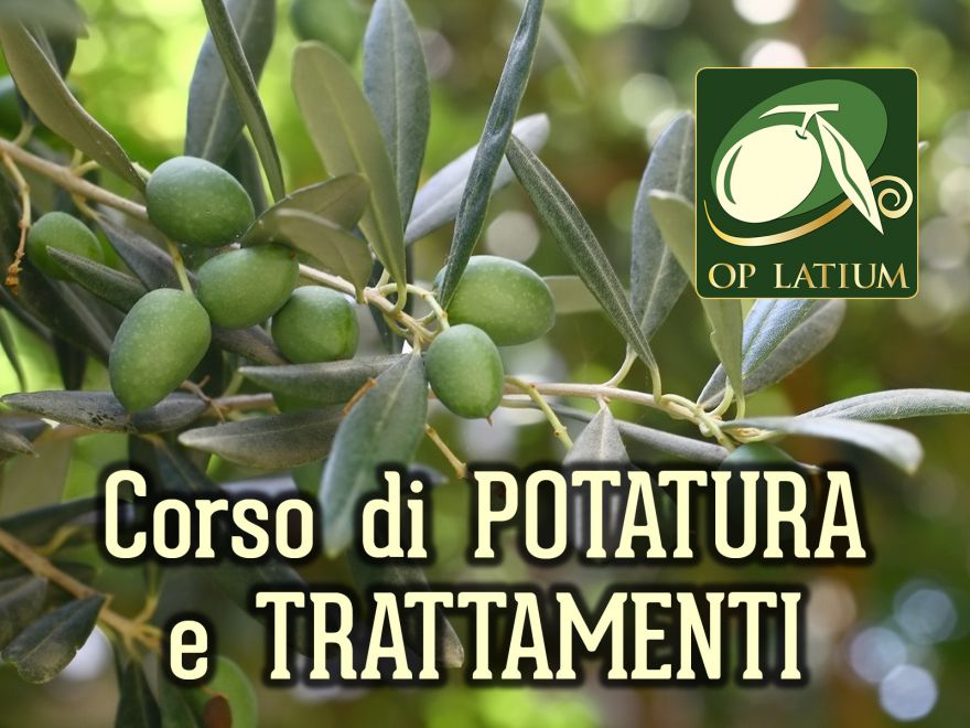 Corso di potatura e trattamenti