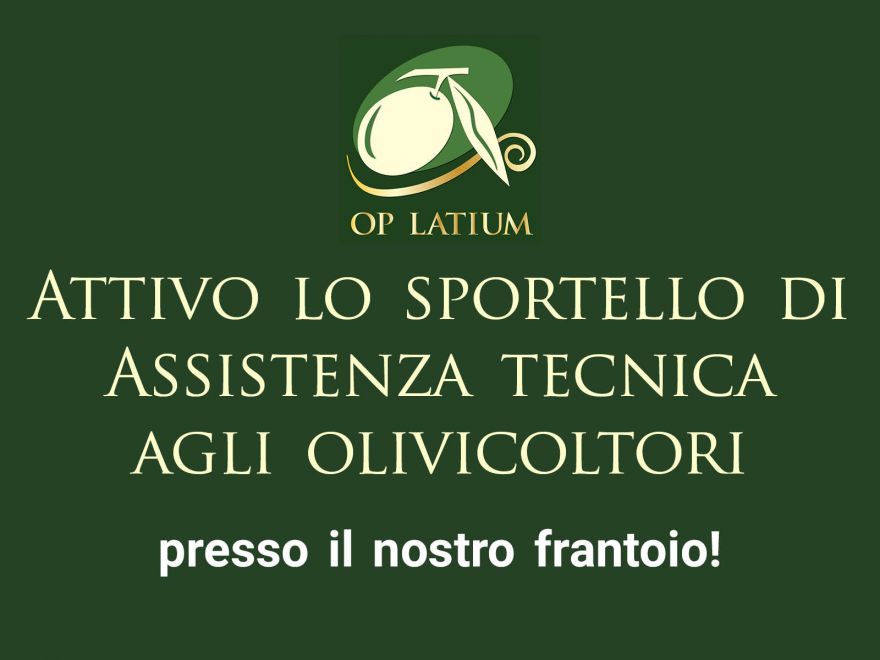 Manifesto frangitura